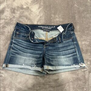 American Eagle Outfitters Women's Distressed Blue Jean Shorts